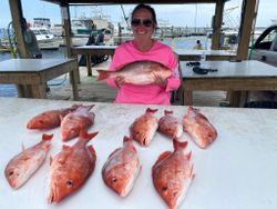 Offshore Thrills: Red Snapper Catch!